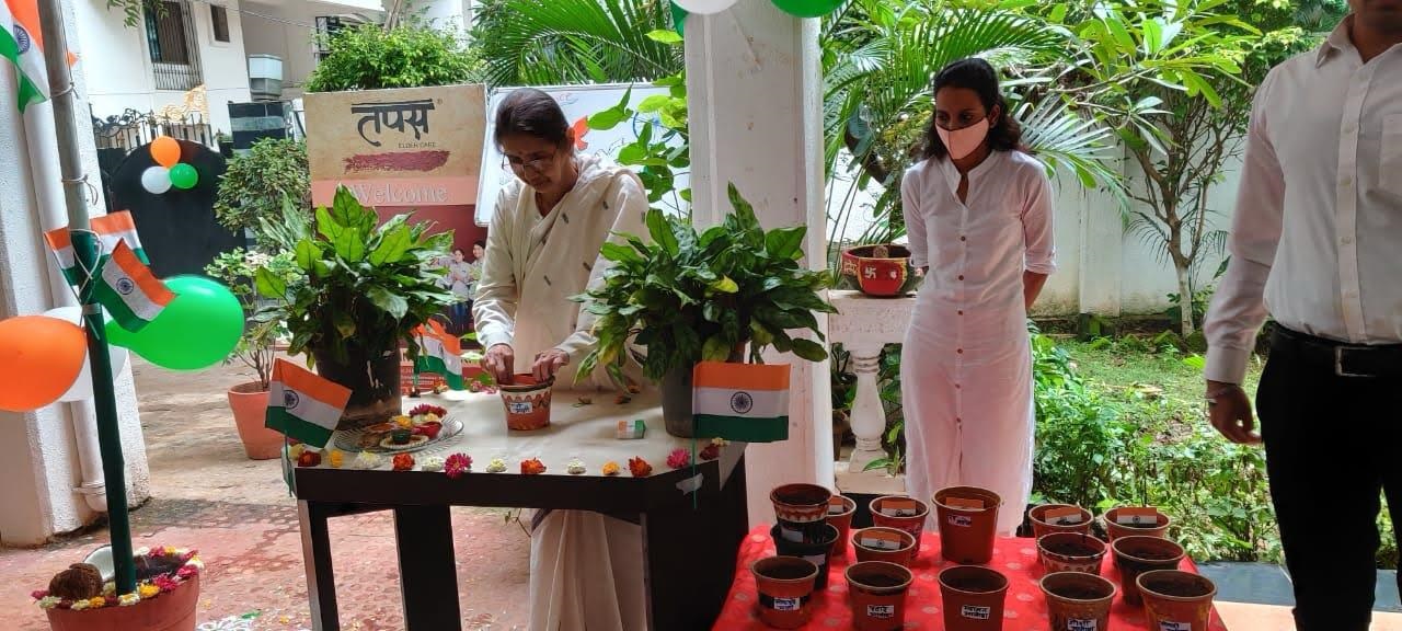 Planting on 16 August with the seed-embedded flags distributed the previous day